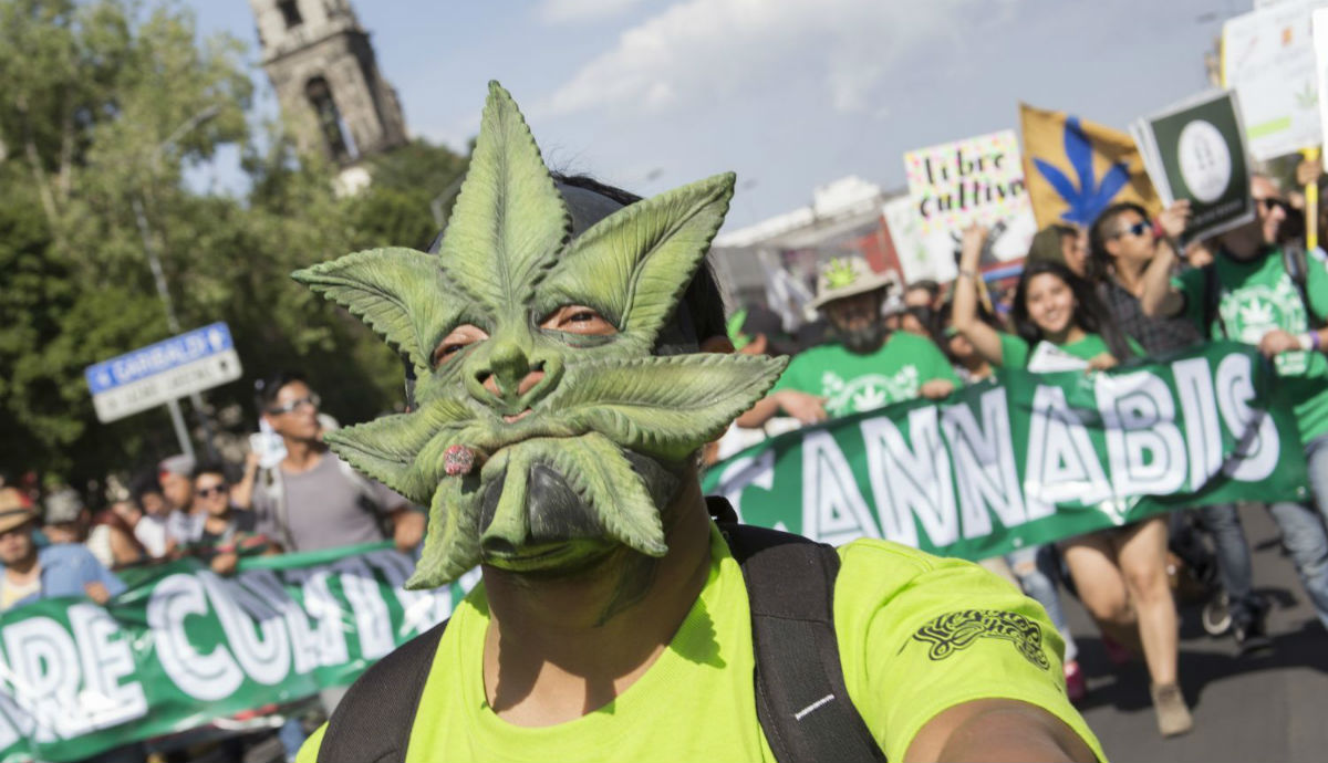 Aprueban En Comisiones Del Senado Nuevo Dictamen Para Regular Uso Lúdico De Mariguana 1270