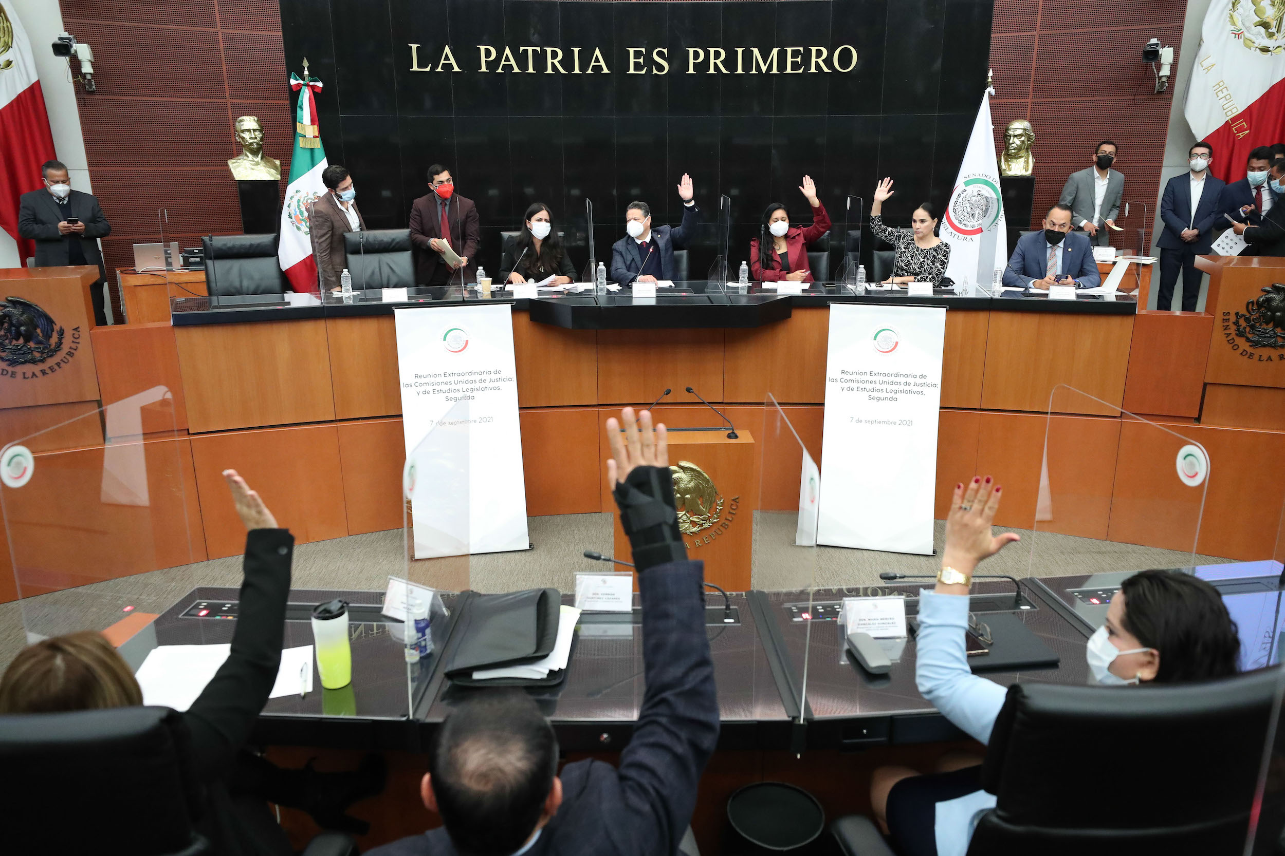 Avalan En Comisiones Del Senado Ley De Juicio Político 7789